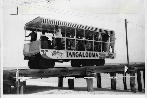 A road train takes guests from the launch to the Tangalooma resort in 1964.