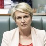 Plibersek’s green Wall Street plan stalls following criticism