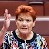 One Nation leader Senator Pauline Hanson in the Senate.