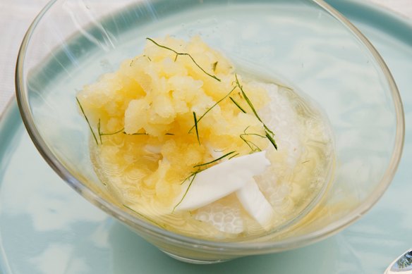 Coconut tapioca pudding with pine-lime granita.