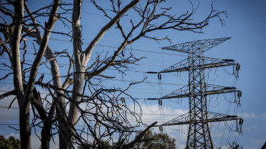 Plans to tackle electricity prices will be crucial in this week's Queensland election.