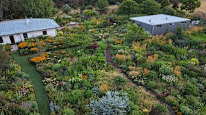 Ralph Bristow thinks of his garden as a community of plants living cheek by jowl