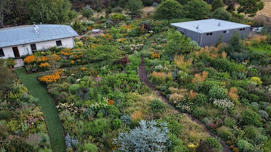 Ralph Bristow thinks of his garden as a community of plants living cheek by jowl