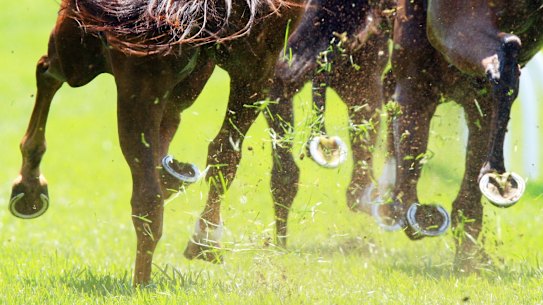 The WA TAB can’t find a bookmaker to take over its operations.