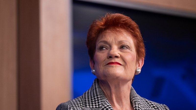 Pauline Hanson has views about who should pay for kids. It’s a logic that doesn’t add up