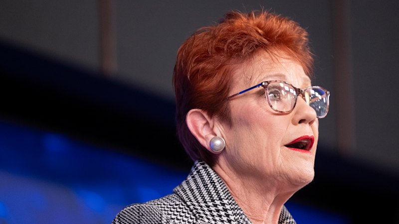 Pauline Hanson addresses poverty concerns, solidifying far-right political stance (australia) — SMH
