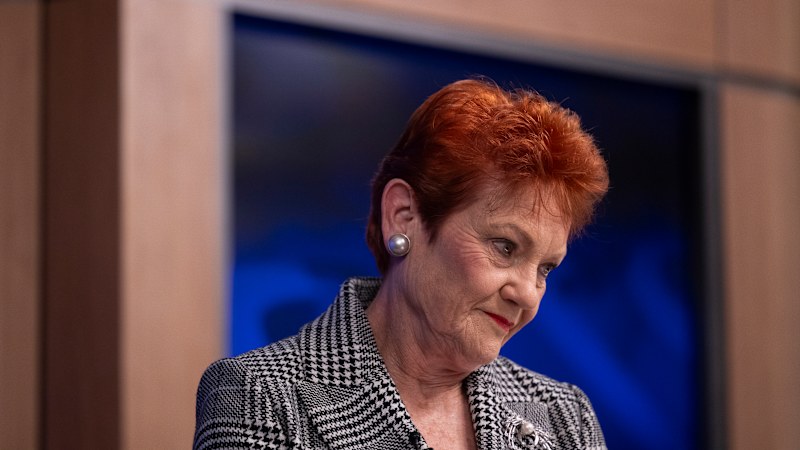 Pauline Hanson takes up beef with Twiggy