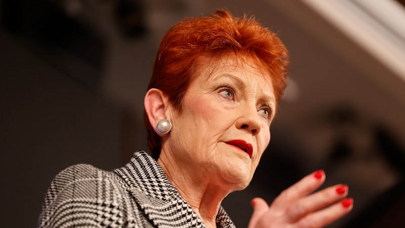 One Nation's rise was helped by the RBA's inflation complacency