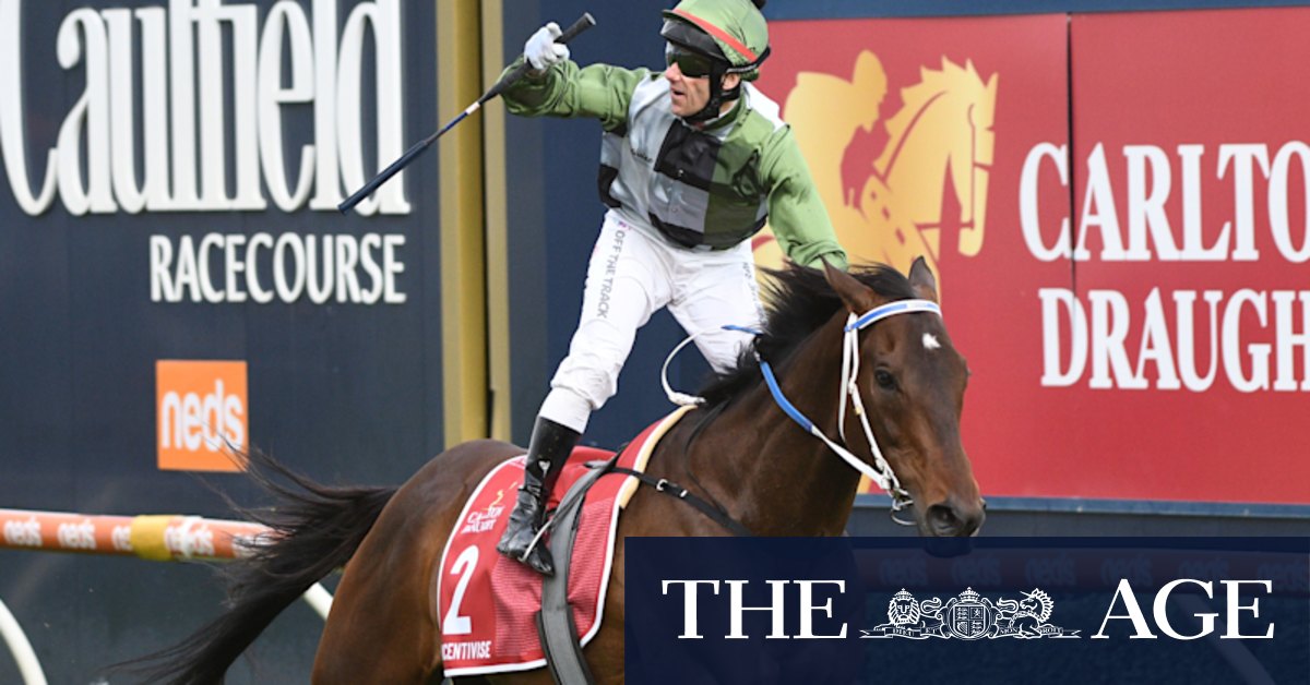 Melbourne Cup 2021: Incentivise has bookmakers on cusp of $50 million blackout - Vimarsana News