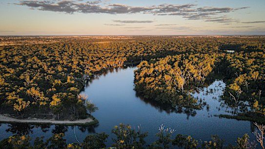 The lower Murray River has been designated as critically endangered. 