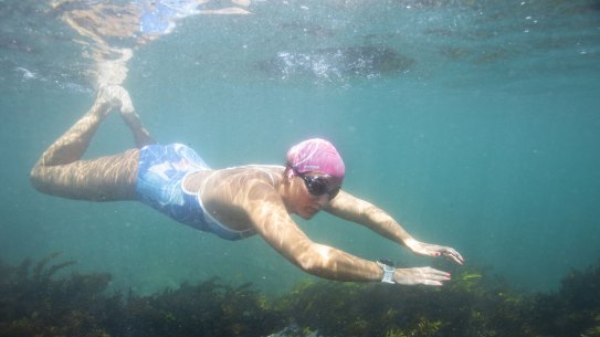 Ocean swimmer Lauren Tishendorph swimming in Sydney this week.