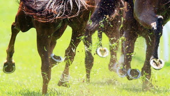 Racing returns to Goulburn on Friday.