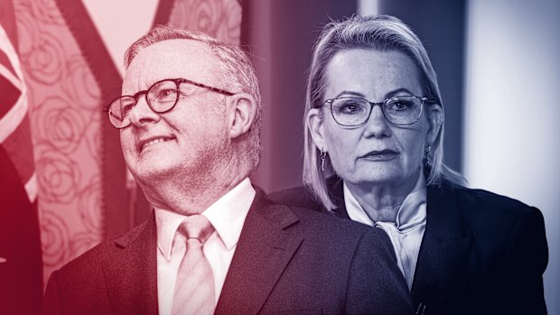 It’s good news for Anthony Albanese and not so good for Sussan Ley in the first post-election Resolve poll.