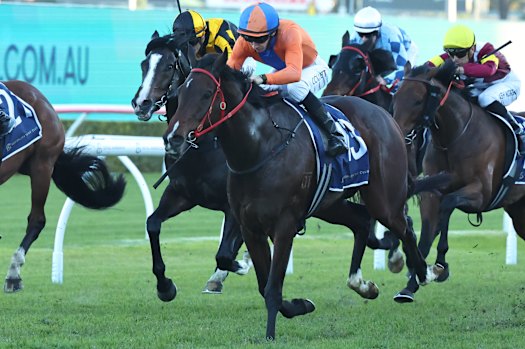 Jason Collett takes Headley Grange to victory in the Civic Stakes at Randwick on Saturday.