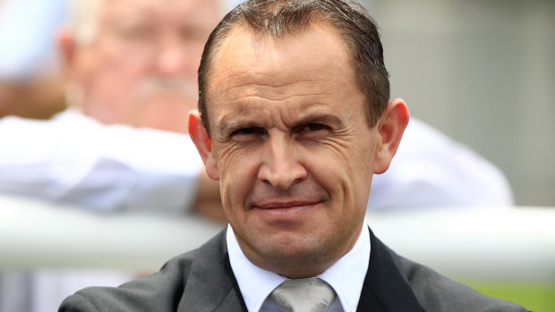 Tested: Chris Waller believes the Altrenogest ban will not stop  his mares racing in Melbourne during the spring canrival