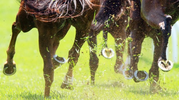 Racing returns to Scone on Thursday.