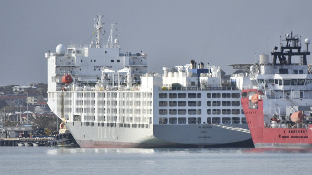 Six crew members of sheep carrier the Al Kuwait have been diagnosed with COVID-19. Al Kuwait seen here docked in Fremantle, May 26, 2020.