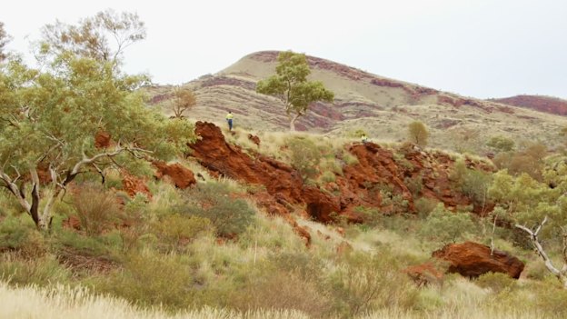 Juukan Gorge in 2015.