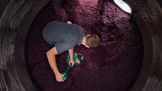 Deep Woods Estate in Margaret River.