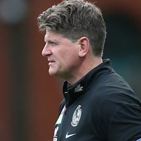 Collingwood caretaker coach Robert Harvey.