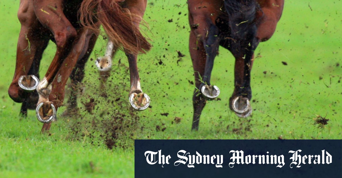 Tips and race-by-race guide for Scone on Monday