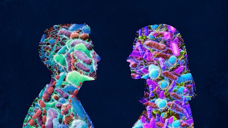 Jeffrey Hall and Andy Merolla’s solution to the loneliness crisis