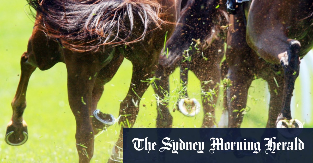 Tips and race-by-race guide for Moruya on Monday