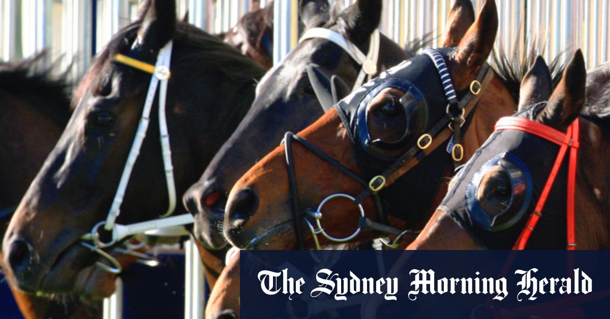 Promising mare primed to make immediate imprint at Wagga