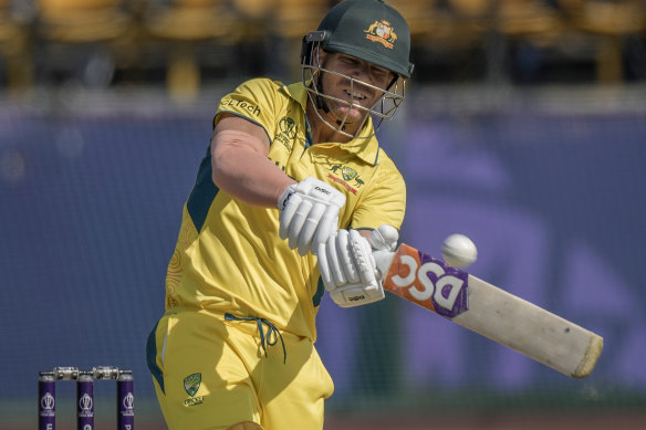 David Warner was once again relegated to sidekick.