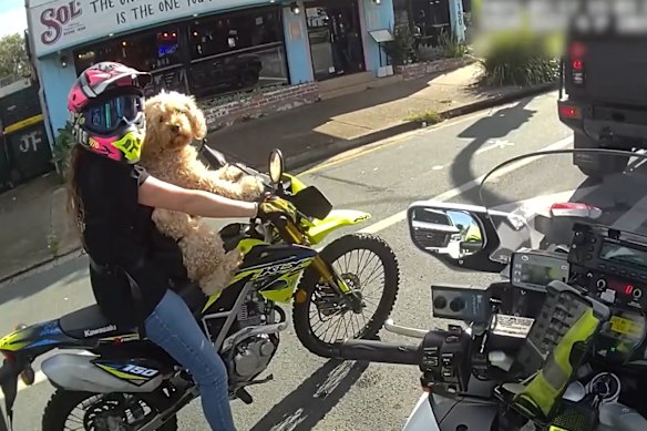 The dog had its paws on custom-made pads attached to the front fork.