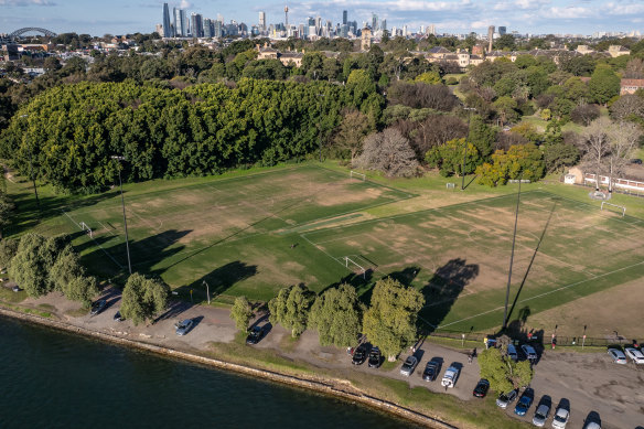 The two fields at Waterfront Drive in Callan Park. One will be converted to an all-weather surface, the other will stay the same.