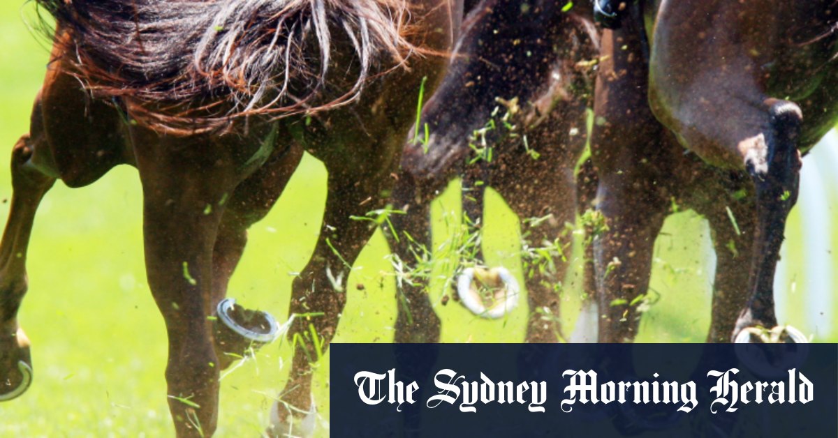 Race-by-race previews and tips for Moruya on Monday