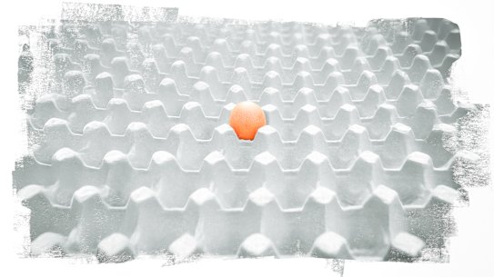 The egg shortage is partly the result of bird flu outbreaks.