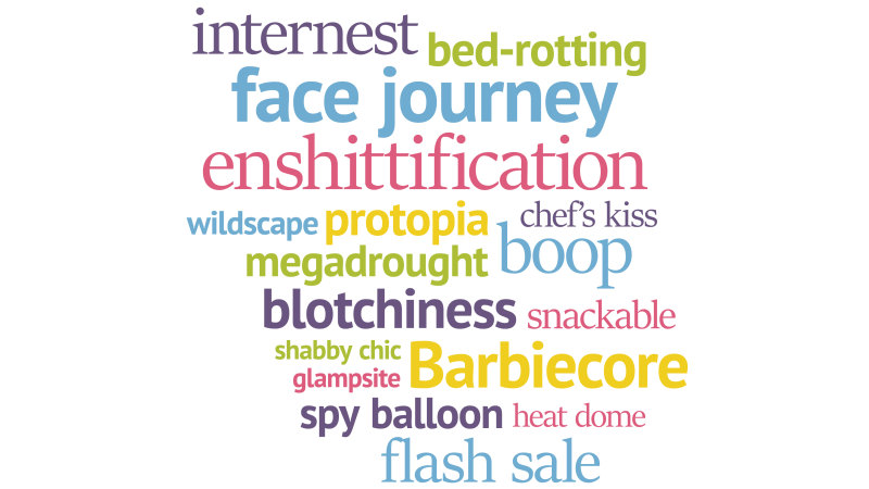 Hundreds of words have been added to the dictionary this year. Which ones will last?