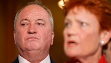 One Nation MP Barnaby Joyce claims Labor’s migration plan will replicate his own party’s policy.
