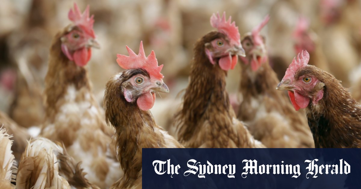 Pierwszy przypadek ludzki odnotowano w Chinach