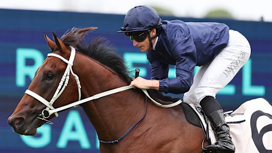 James McDonald rides Wodeton to an easy win at Rosehill on debut in January.