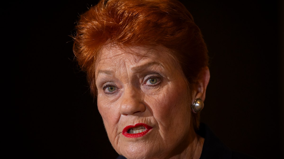 Pauline Hanson racial discrimination appeal: One Nation leader loses ...