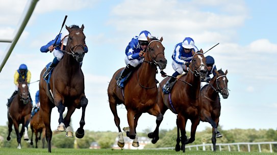 Aspetar (middle) running second at Sandown Park Racecourse in England in July.