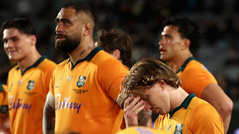 Rugby union players demand cut of Australia's $100 million World Cup hosting (australia) — SMH