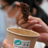 ‘Whale is delicious’: The push to revive Japan’s whaling culture