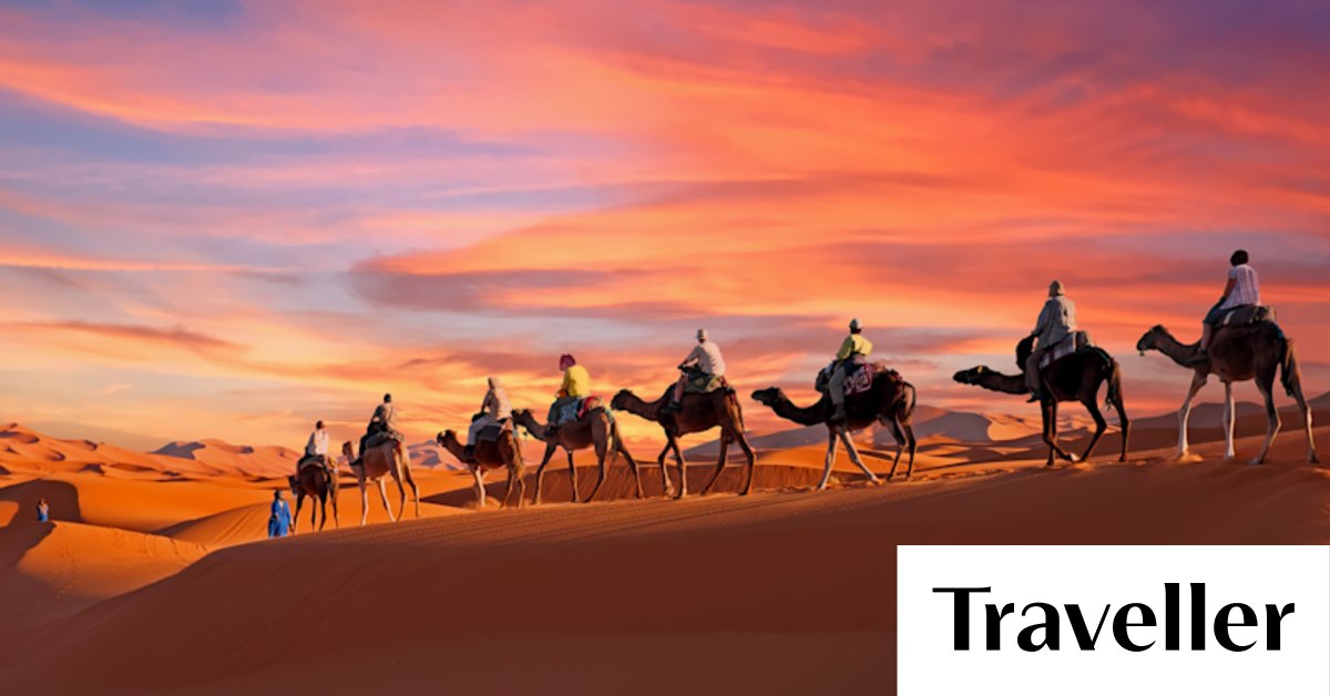 Tips for riding a camel: Surrender yourself to uncertainty - Vimarsana News