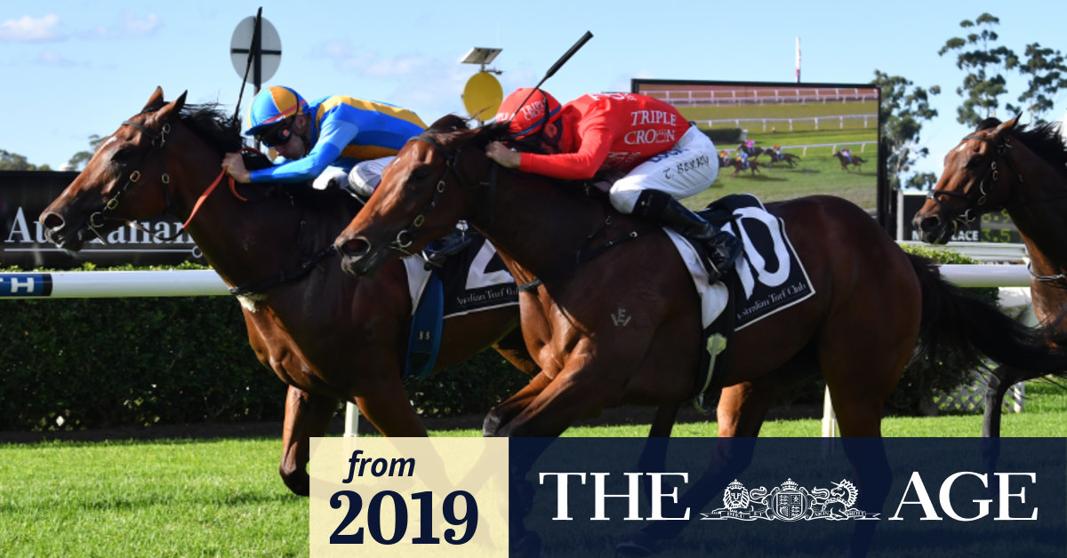 Snowden hopes to reel in The Nivison with Ruby