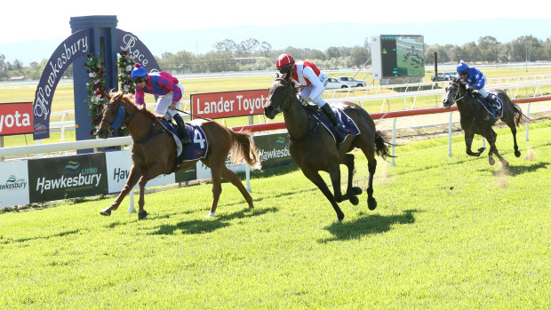 Hawkesbury hosts Ladies' Race Day earlier this month.