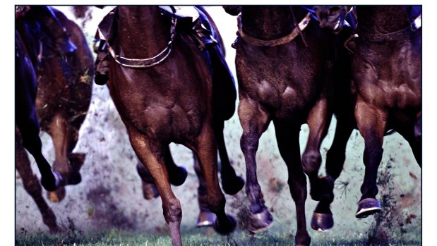 Racing returns to Coonamble for the Country Championship Qualifier.