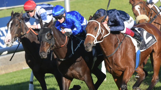 Nice type: Blake Shinn brings Eckstein (right) with a perfectly timed run in the Winter Stakes. 