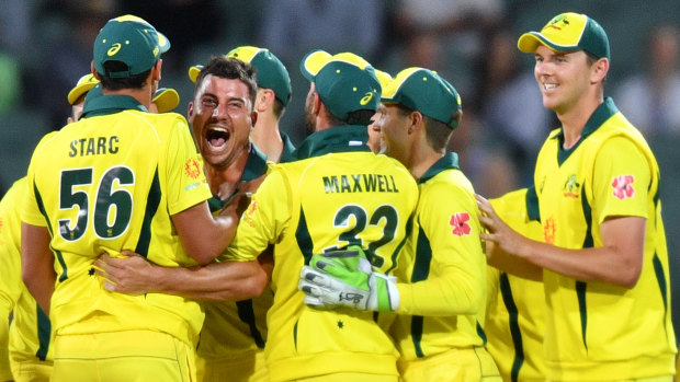 Breakthrough: Marcus Stoinis is mobbed after picking up another wicket in Australia's much-needed win against South Africa in Adelaide.