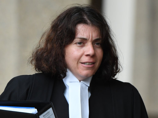 Leading defamation barrister Sue Chrysanthou has told a parliamentary inquiry the government’s proposed anti-trolling laws were fundamentally misconceived.
