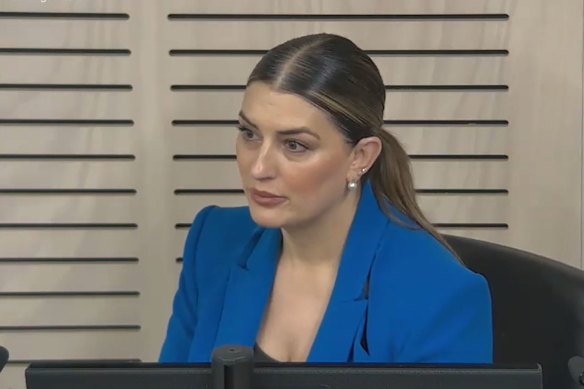 Liberal frontbencher Eleni Petinos previously gave evidence before the ICAC. 