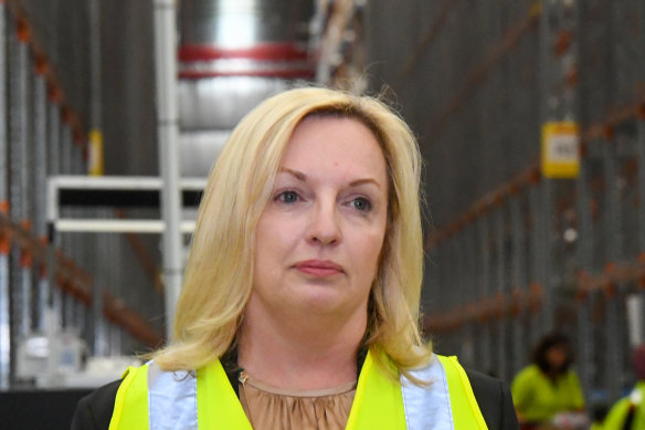 Australia Post chief executive Christine Holgate says the disruption to operations from COVID-19 has been significant. 